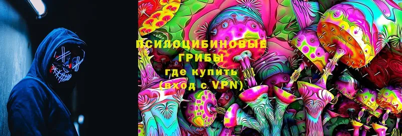 купить  цена  Губаха  MEGA ссылка  Псилоцибиновые грибы Psilocybine cubensis 